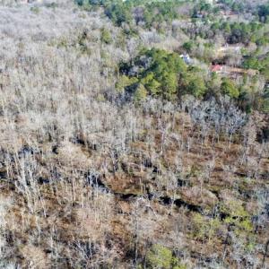 Photo #24 of Off Yarborough Road, Parkton, NC 37.9 acres