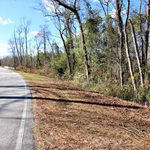 Photo #3 of Off Yarborough Road, Parkton, NC 37.9 acres