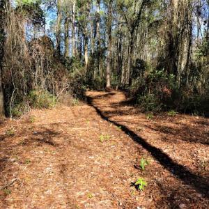 Photo #6 of Off Yarborough Road, Parkton, NC 37.9 acres