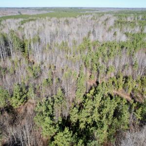 Photo #10 of SOLD property in Off Shelburne Lane, Victoria, VA 30.3 acres
