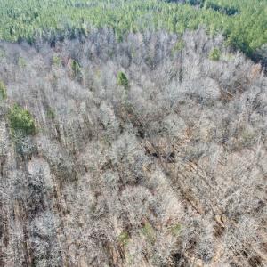 Photo #11 of SOLD property in Off Shelburne Lane, Victoria, VA 30.3 acres