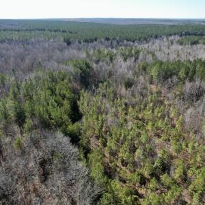 Photo #12 of SOLD property in Off Shelburne Lane, Victoria, VA 30.3 acres