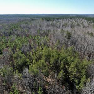 Photo #13 of SOLD property in Off Shelburne Lane, Victoria, VA 30.3 acres
