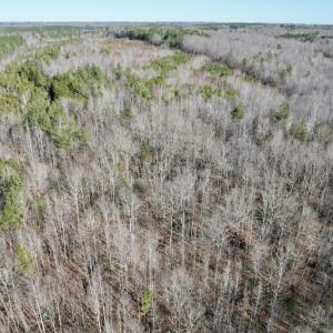 Photo #14 of SOLD property in Off Shelburne Lane, Victoria, VA 30.3 acres