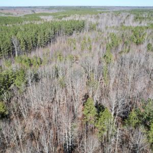 Photo #15 of SOLD property in Off Shelburne Lane, Victoria, VA 30.3 acres