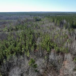 Photo #2 of SOLD property in Off Shelburne Lane, Victoria, VA 30.3 acres
