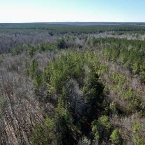 Photo #16 of SOLD property in Off Shelburne Lane, Victoria, VA 30.3 acres