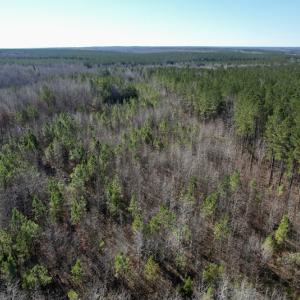 Photo #17 of SOLD property in Off Shelburne Lane, Victoria, VA 30.3 acres