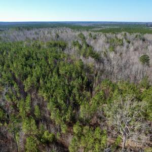 Photo #18 of SOLD property in Off Shelburne Lane, Victoria, VA 30.3 acres