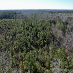 Photo #19 of SOLD property in Off Shelburne Lane, Victoria, VA 30.3 acres