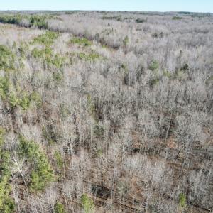 Photo #20 of SOLD property in Off Shelburne Lane, Victoria, VA 30.3 acres