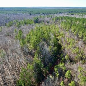 Photo #21 of SOLD property in Off Shelburne Lane, Victoria, VA 30.3 acres