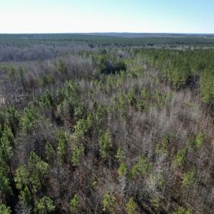 Photo #22 of SOLD property in Off Shelburne Lane, Victoria, VA 30.3 acres