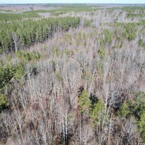 Photo #3 of SOLD property in Off Shelburne Lane, Victoria, VA 30.3 acres