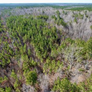 Photo #24 of SOLD property in Off Shelburne Lane, Victoria, VA 30.3 acres