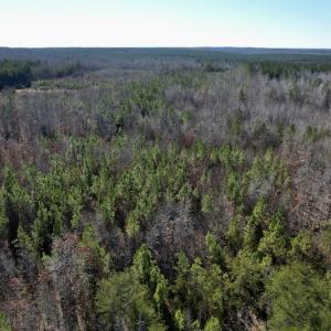 Photo #25 of SOLD property in Off Shelburne Lane, Victoria, VA 30.3 acres