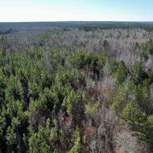 Photo #4 of SOLD property in Off Shelburne Lane, Victoria, VA 30.3 acres