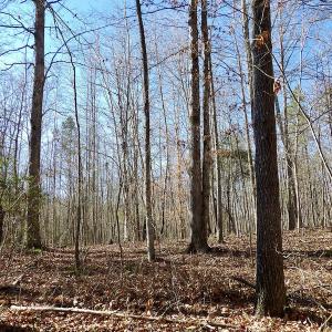 Photo #28 of SOLD property in Off Shelburne Lane, Victoria, VA 30.3 acres