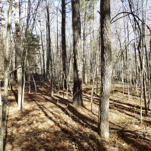 Photo #29 of SOLD property in Off Shelburne Lane, Victoria, VA 30.3 acres