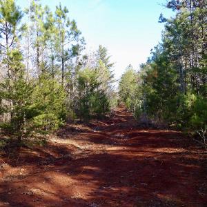 Photo #34 of SOLD property in Off Shelburne Lane, Victoria, VA 30.3 acres