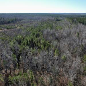 Photo #5 of SOLD property in Off Shelburne Lane, Victoria, VA 30.3 acres