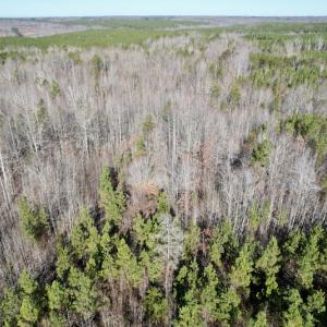Photo #6 of SOLD property in Off Shelburne Lane, Victoria, VA 30.3 acres