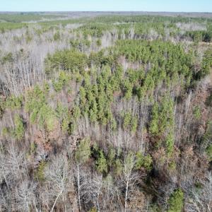 Photo #7 of SOLD property in Off Shelburne Lane, Victoria, VA 30.3 acres