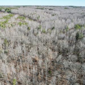 Photo #8 of SOLD property in Off Shelburne Lane, Victoria, VA 30.3 acres