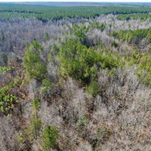 Photo #9 of SOLD property in Off Shelburne Lane, Victoria, VA 30.3 acres