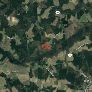Photo #45 of SOLD property in Off Bolton Road, Rich Square, NC 38.5 acres