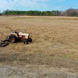 Photo #2 of SOLD property in Off Bolton Road, Rich Square, NC 38.5 acres