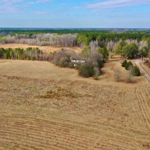 Photo #4 of SOLD property in Off Bolton Road, Rich Square, NC 38.5 acres