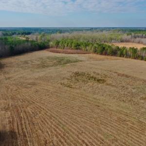Photo #5 of SOLD property in Off Bolton Road, Rich Square, NC 38.5 acres
