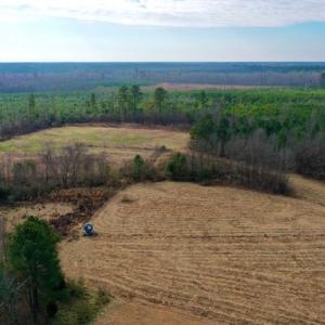 Photo #6 of SOLD property in Off Bolton Road, Rich Square, NC 38.5 acres