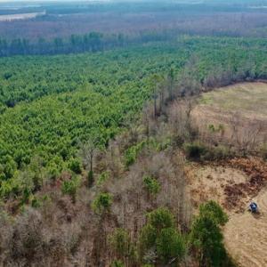 Photo #7 of SOLD property in Off Bolton Road, Rich Square, NC 38.5 acres