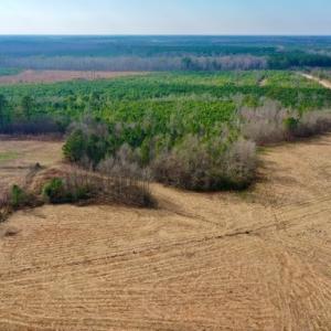 Photo #8 of SOLD property in Off Bolton Road, Rich Square, NC 38.5 acres