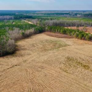 Photo #9 of SOLD property in Off Bolton Road, Rich Square, NC 38.5 acres
