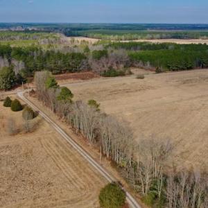 Photo #10 of SOLD property in Off Bolton Road, Rich Square, NC 38.5 acres