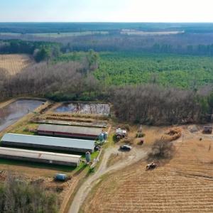 Photo #11 of SOLD property in Off Bolton Road, Rich Square, NC 38.5 acres