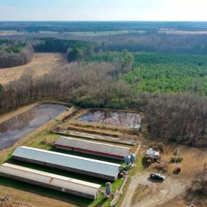 Photo #12 of SOLD property in Off Bolton Road, Rich Square, NC 38.5 acres