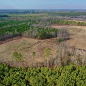 Photo #13 of SOLD property in Off Bolton Road, Rich Square, NC 38.5 acres