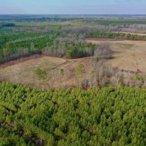 Photo #14 of SOLD property in Off Bolton Road, Rich Square, NC 38.5 acres
