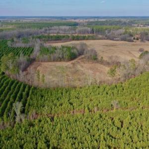 Photo #15 of SOLD property in Off Bolton Road, Rich Square, NC 38.5 acres
