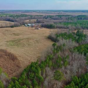 Photo #16 of SOLD property in Off Bolton Road, Rich Square, NC 38.5 acres