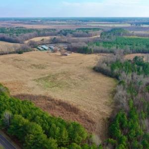 Photo #17 of SOLD property in Off Bolton Road, Rich Square, NC 38.5 acres