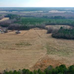 Photo #19 of SOLD property in Off Bolton Road, Rich Square, NC 38.5 acres