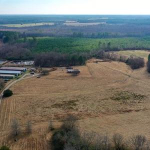 Photo #20 of SOLD property in Off Bolton Road, Rich Square, NC 38.5 acres