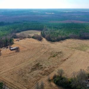 Photo #21 of SOLD property in Off Bolton Road, Rich Square, NC 38.5 acres