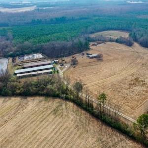 Photo #22 of SOLD property in Off Bolton Road, Rich Square, NC 38.5 acres