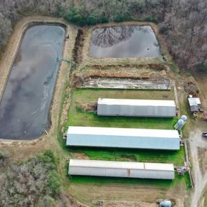Photo #23 of SOLD property in Off Bolton Road, Rich Square, NC 38.5 acres